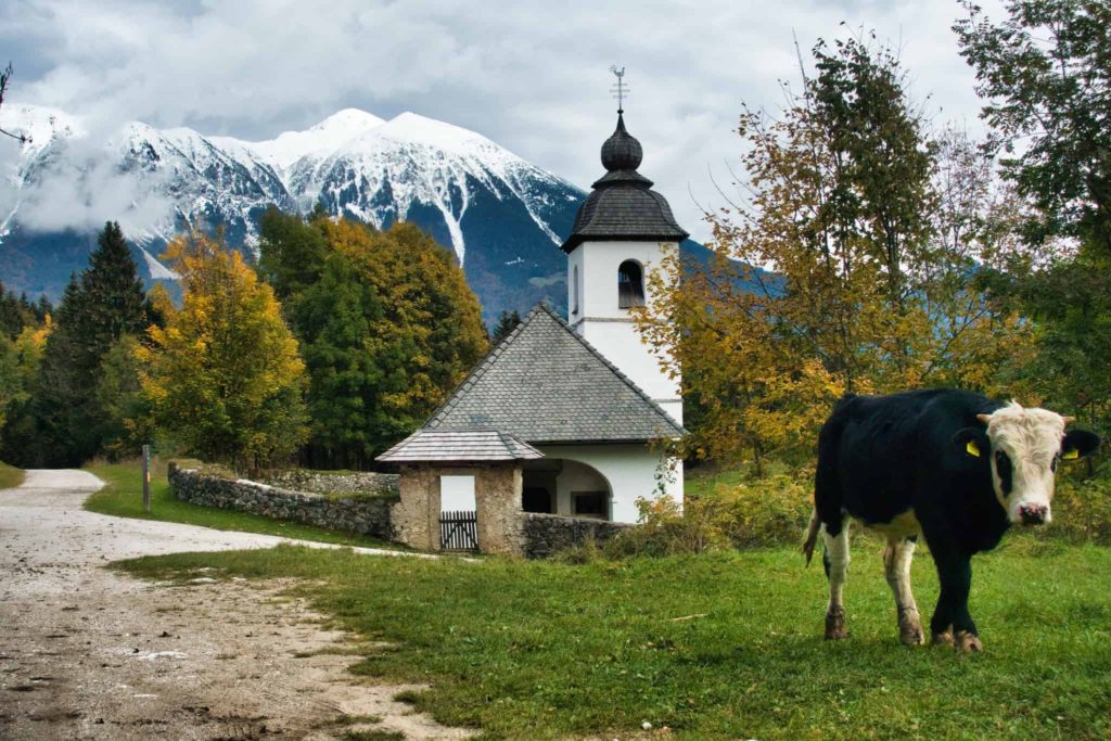 How to Spend Three Days In Slovenia