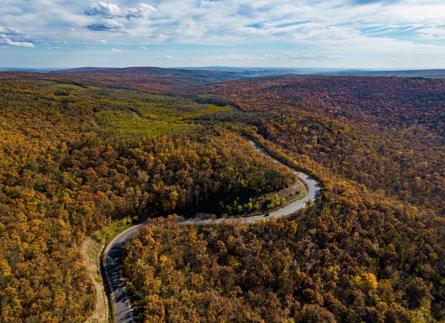 Long Curvy Road Through A Forest In Autumn In Moldova