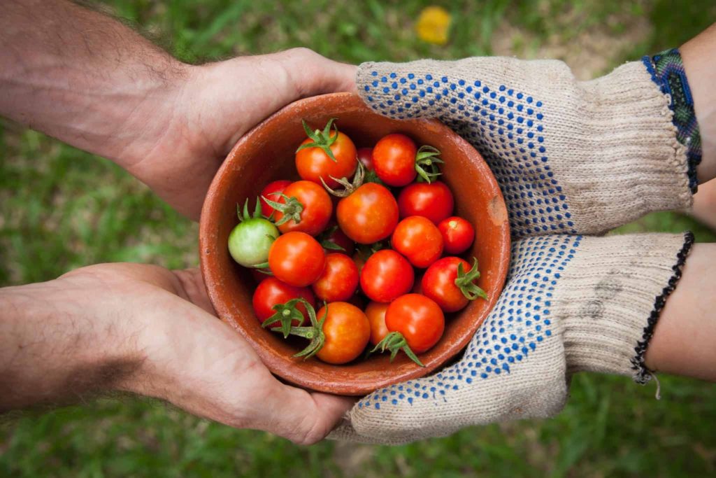 Working on Organic Farms with WWOOF