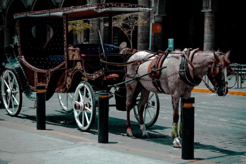 Don't Ride With Horse Carriages When Traveling