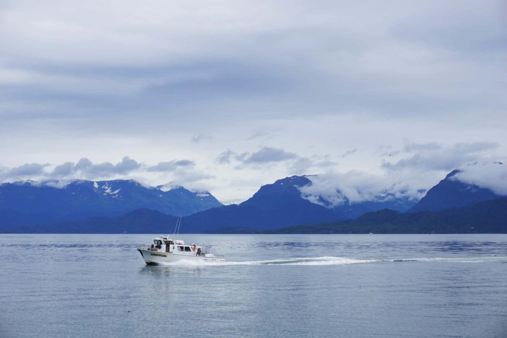 Homer in Alaska Is One of the Most Underrated Cities in the United States