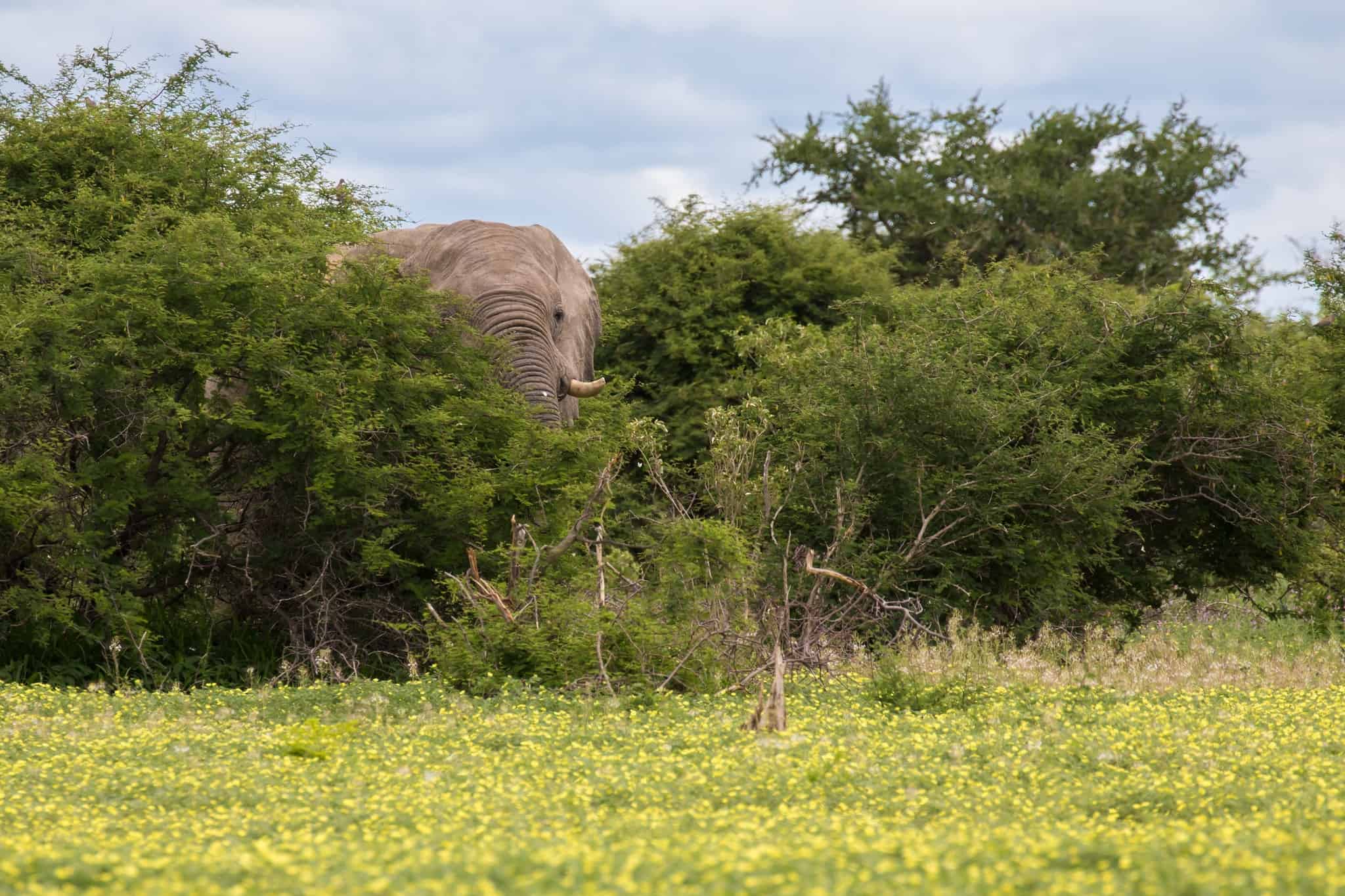 The Ultimate Guide to Responsible Travel in India - Giving Getaway