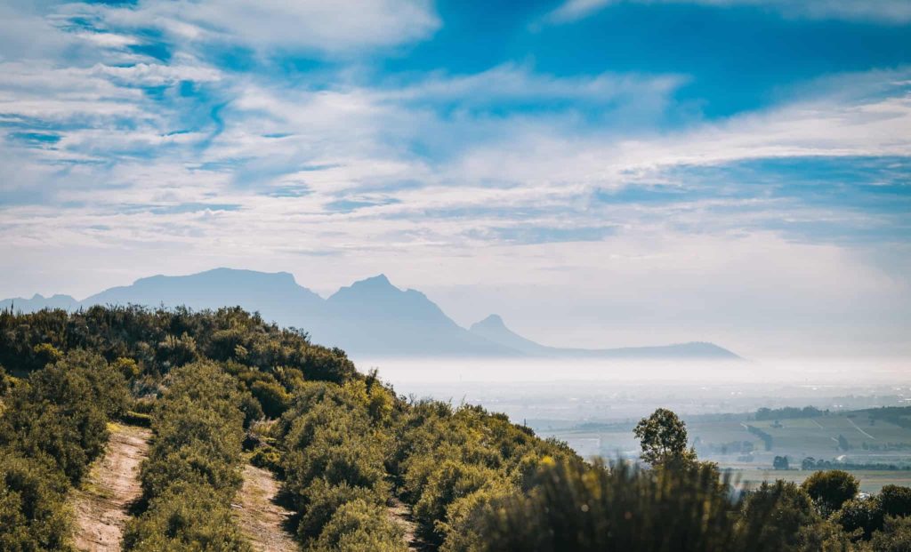 The Hidden Valley Wine Farm Offers Some of the Best Wines in South Africa