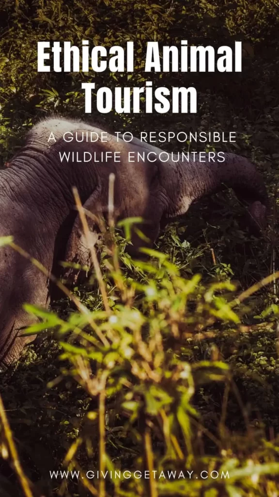 Ethical Animal Tourism A Guide to Responsible Wildlife Encounters Banner 1