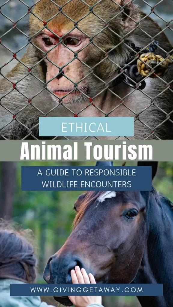 Ethical Animal Tourism A Guide to Responsible Wildlife Encounters Banner 2