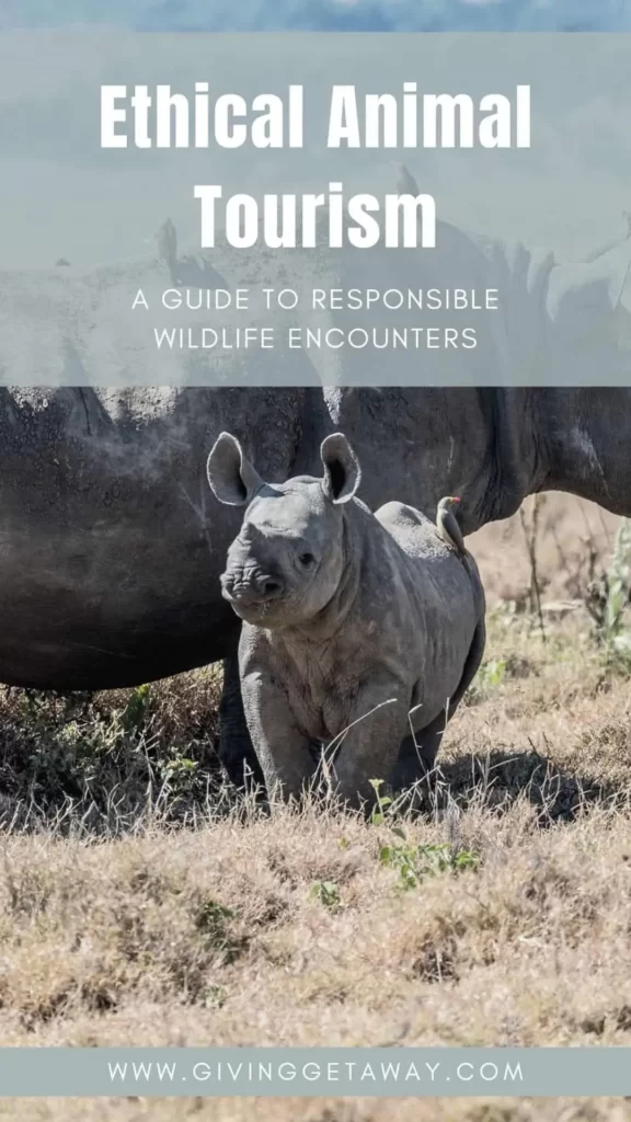 Ethical Animal Tourism A Guide to Responsible Wildlife Encounters Banner 3