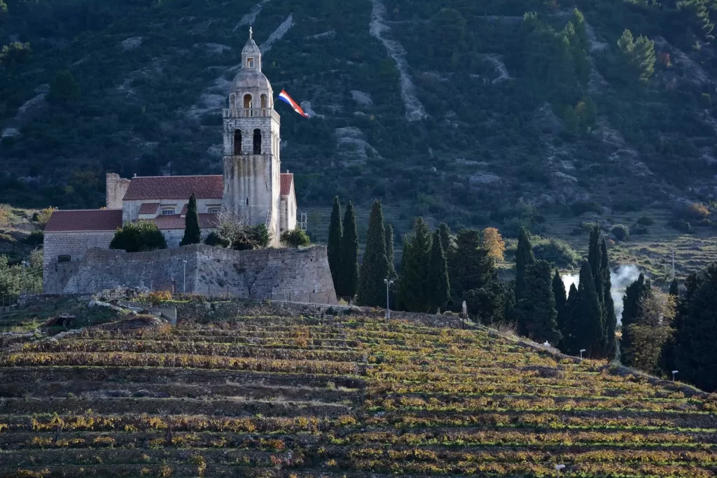 Explore the Old Part of Vis Town, Where Vineyards and Olive Groves Await