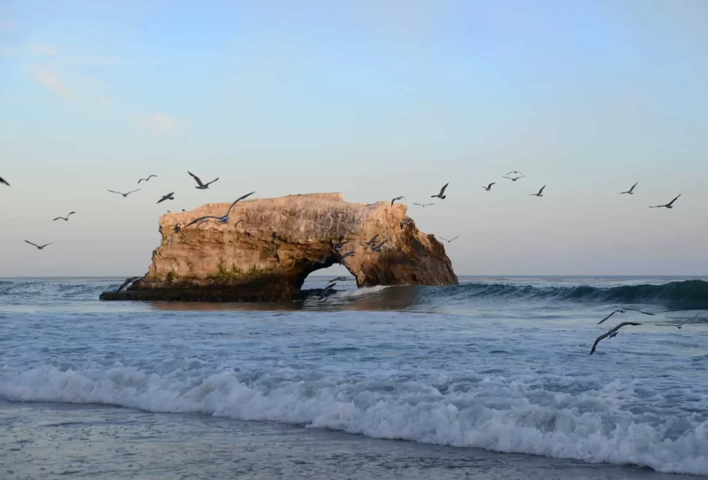 Santa Cruz Is Nestled Between the Pacific Ocean and the Redwood Forests and One of the Most Underrated Cities in California