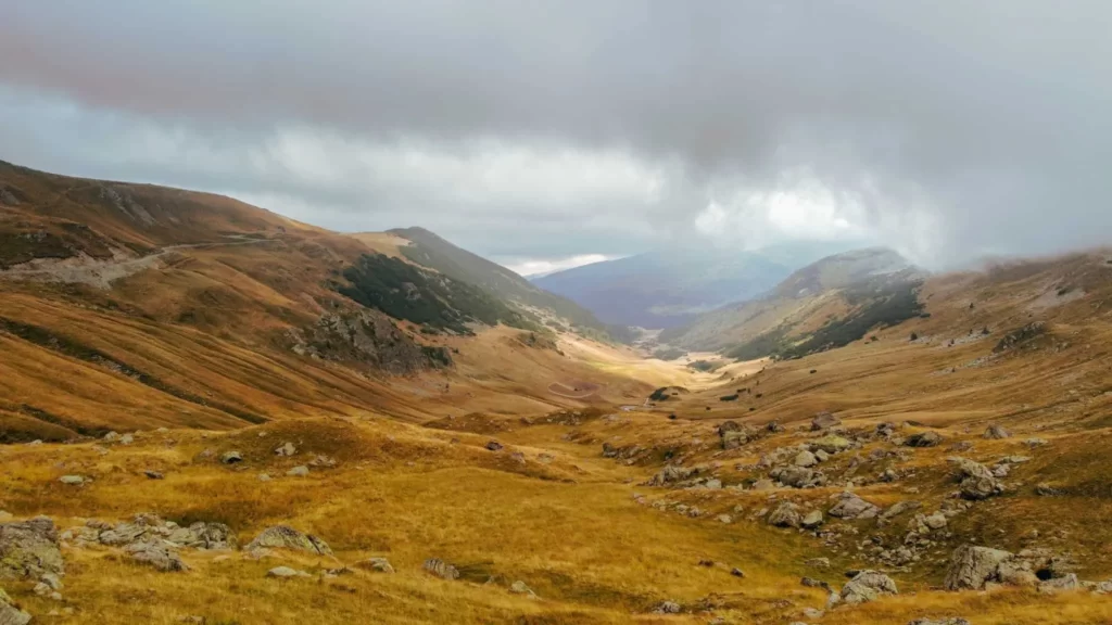 Aerial Perspective of the Transalpina Road as It Winds Through the Lush Carpathian Wilderness