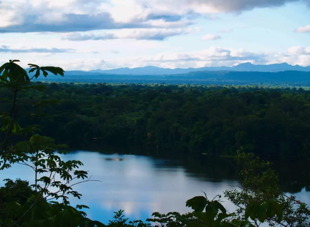 Exploring Bolivia’s Amazon Rainforest Takes You Into a Wild and Biodiverse World