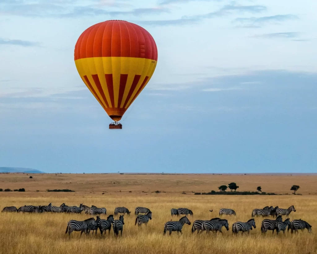 Kenya Is Known for Its Abundant Wildlife and Diverse Landscapes, Which Makes It a Top Choice for an African Safari