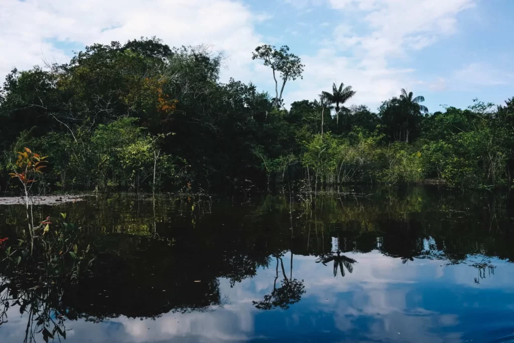 Manaus Offers a Chance to Immerse Yourself in the Unparalleled Beauty of the Amazon River and Its Surrounding Rainforest