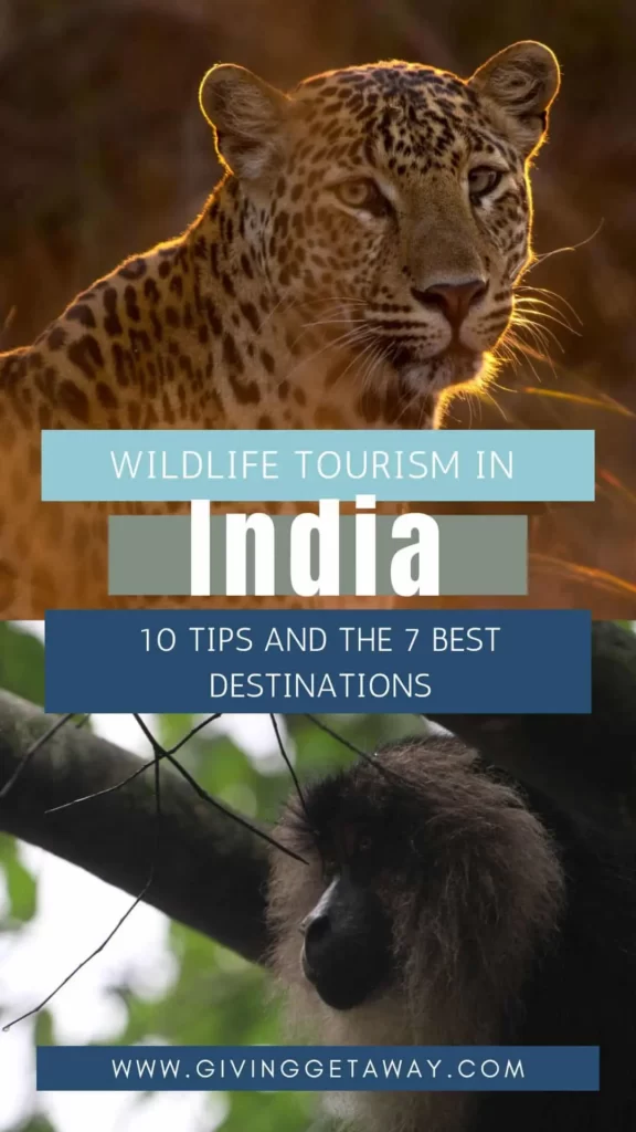 wildlife tourism in india research paper