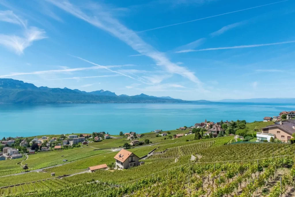 A Visit to Lake Geneva Wouldn’t Be Complete Without Exploring the Vineyards That Grace Its Shores.