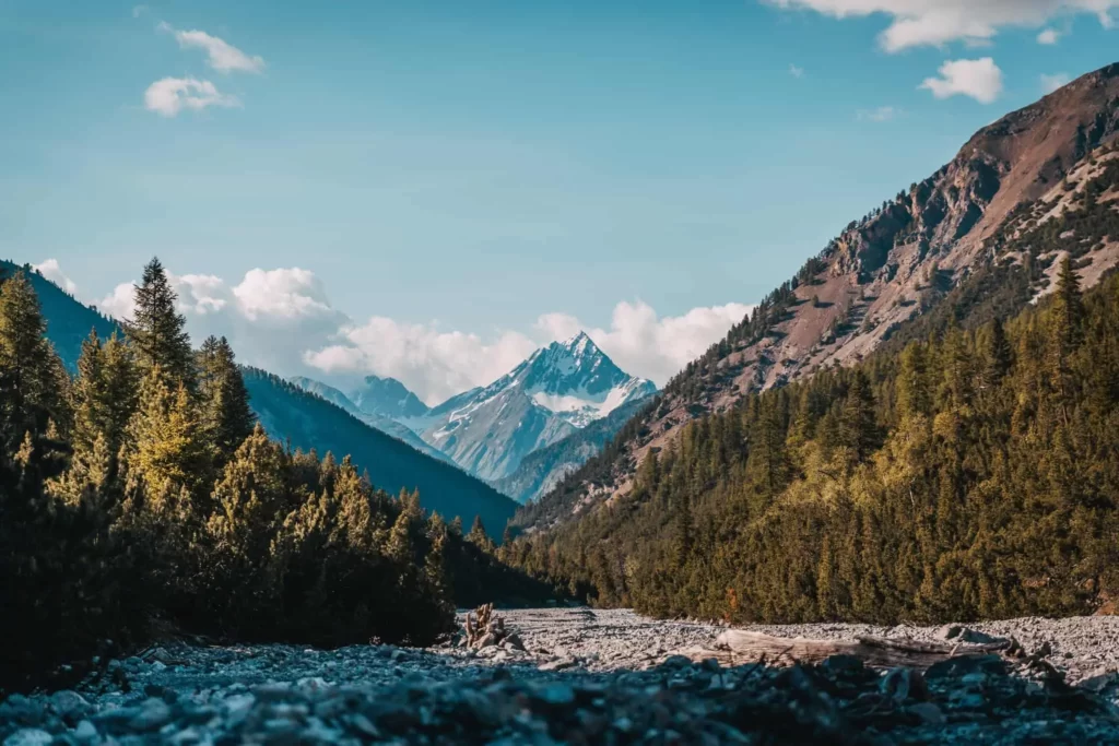 Tucked Away in the Center of Switzerland, the Swiss National Park Is a Destination Worth Visiting for Those Who Love Nature and Wildlife.