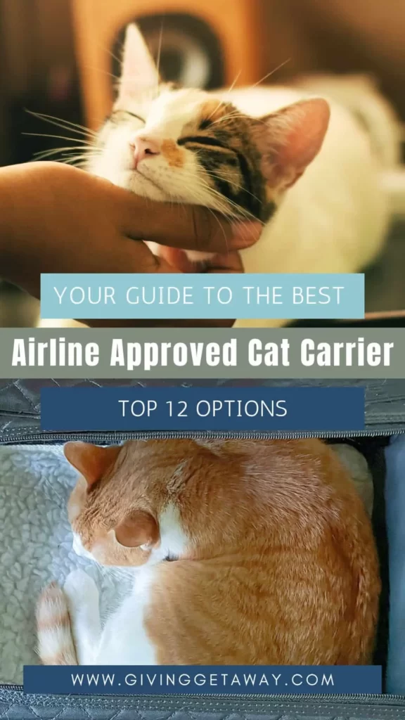 Your Guide to the Best Airline Approved Cat Carrier: Top 12 Options